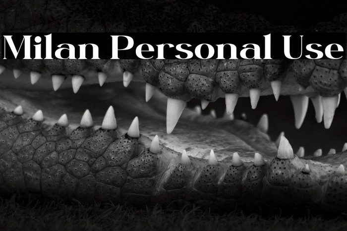 Milan Personal Use Example 1