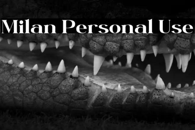 Milan Personal Use Example 1