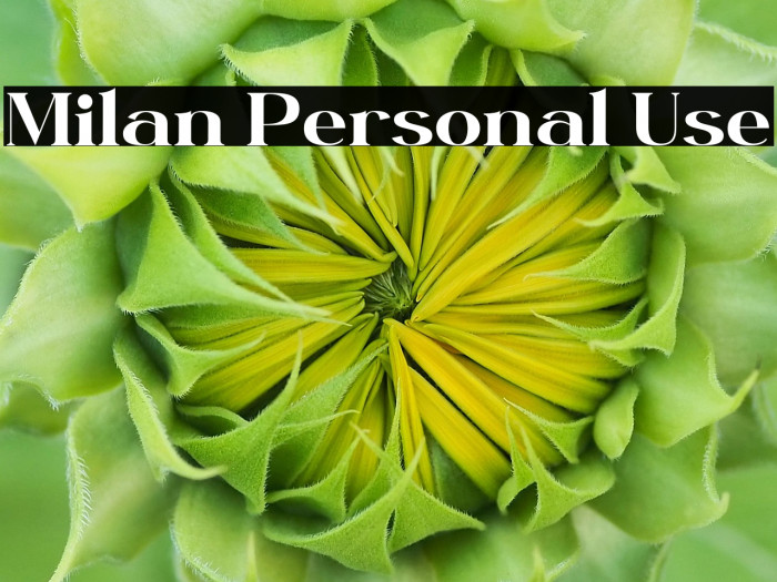 Milan Personal Use Example 2