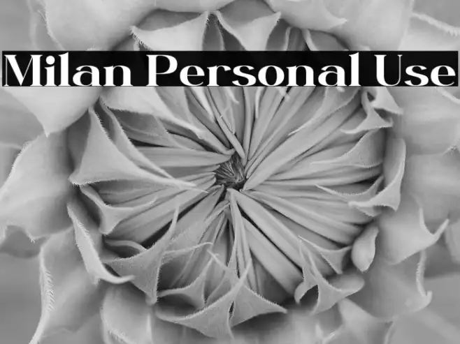Milan Personal Use Example 2