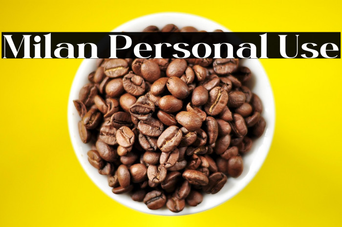 Milan Personal Use Example 3