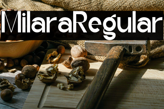 Milara Regular Example 2