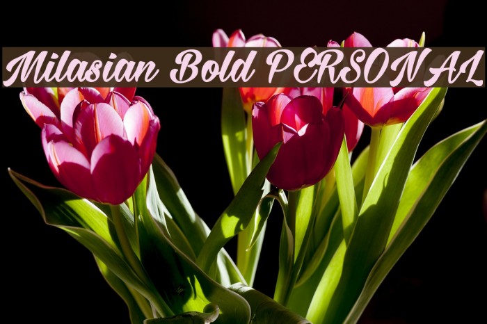 Milasian Bold PERSONAL Font examples