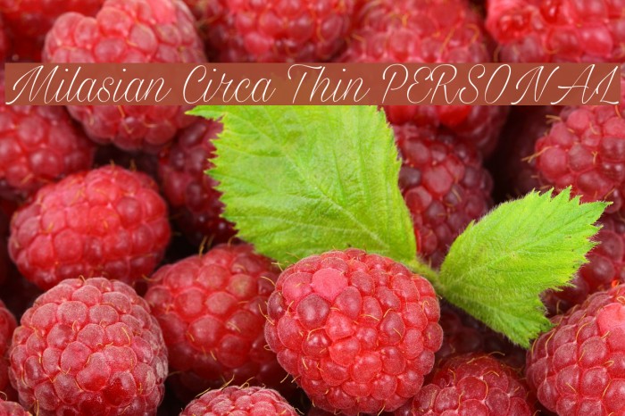 Milasian Circa Thin PERSONAL Font examples