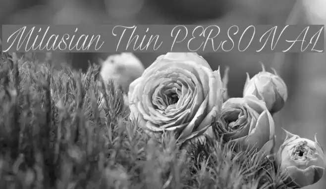 Milasian Thin PERSONAL Font examples