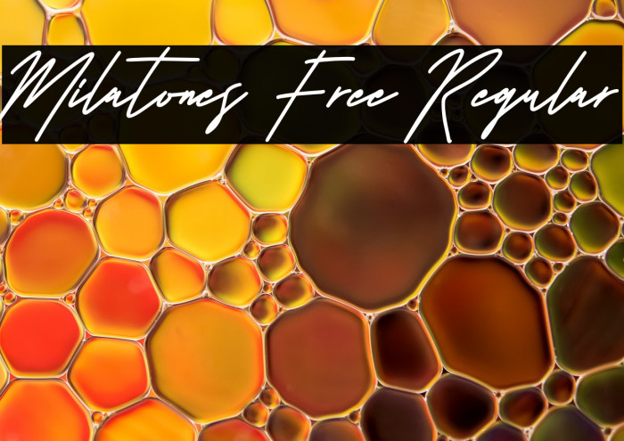 Milatones Free Regular Example 3