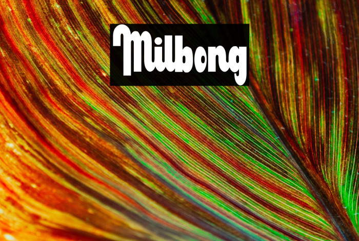 Milbong Example 3