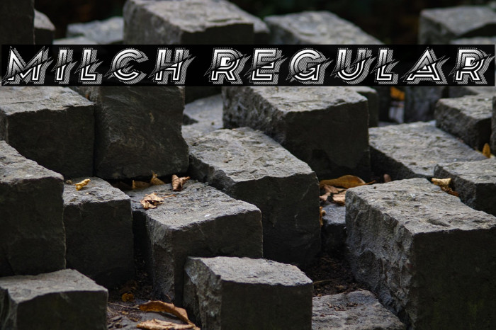 Milch Regular Example 1