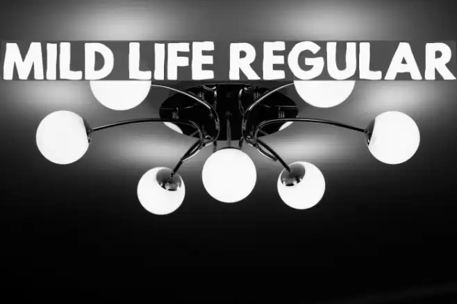 Mild Life Regular Font examples