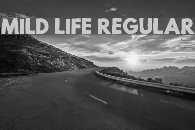Mild Life Regular Font examples