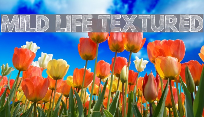 Mild Life Textured Font examples
