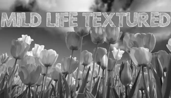 Mild Life Textured Example 2