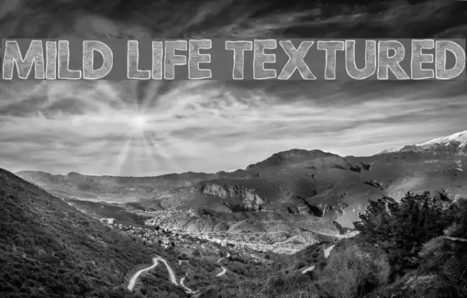 Mild Life Textured Example 3