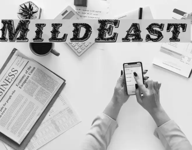MildEast Example 1