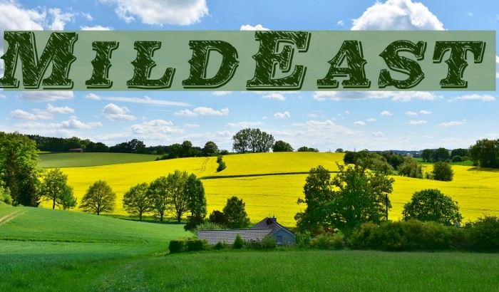 MildEast Font examples