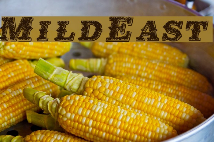 MildEast Font examples