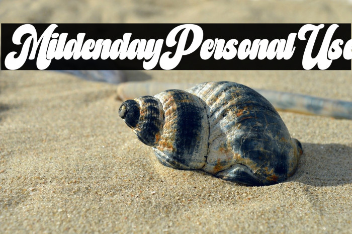 Mildenday Personal Use Example 1