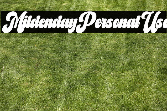 Mildenday Personal Use Example 2