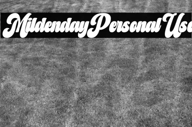 Mildenday Personal Use Example 2