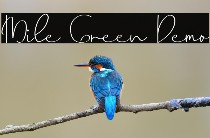 Mile Green Demo Example 3