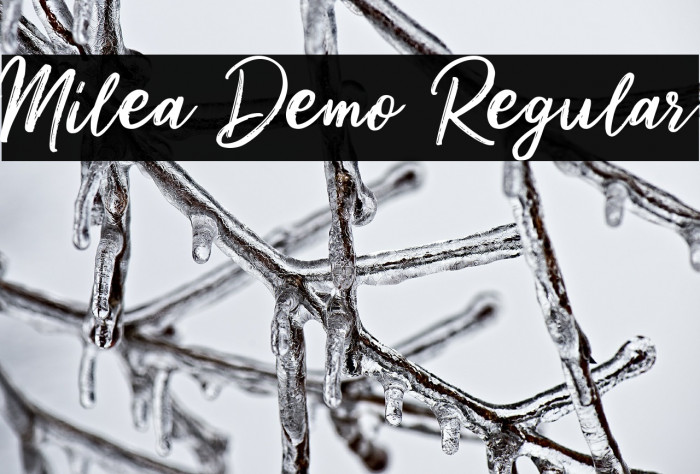 Milea Demo Regular Font examples