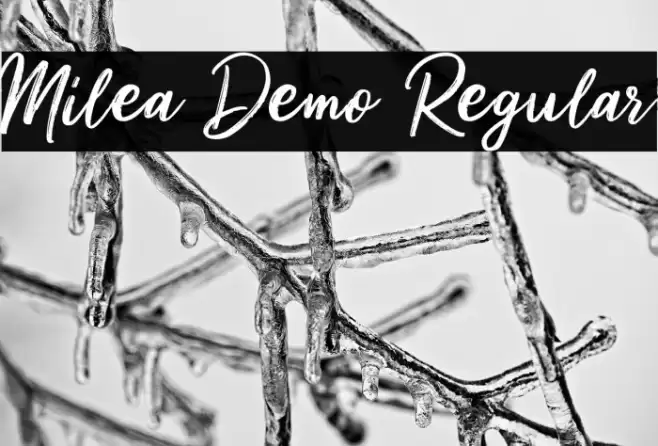 Milea Demo Regular Font examples
