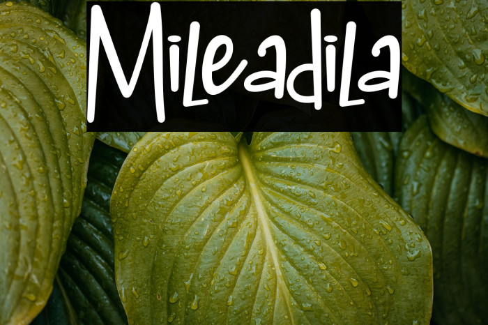 Mileadila Example 1