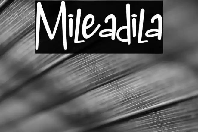 Mileadila Font examples