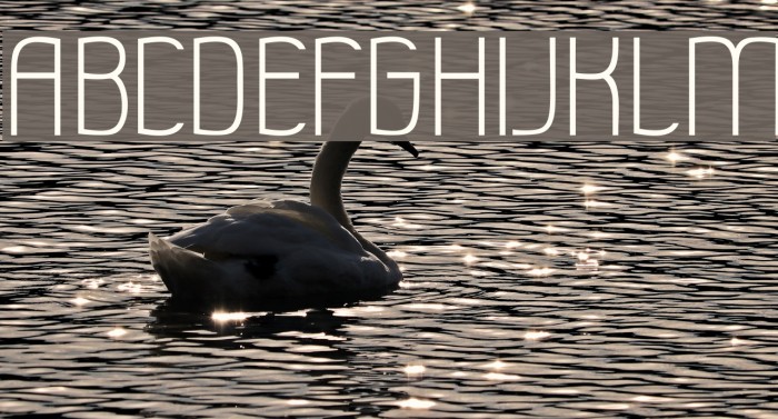 MilenaSans Font examples