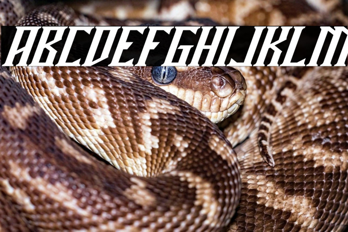 Miles Hunt Clean Italic Example 1