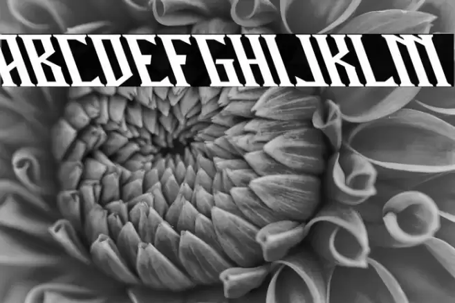 Miles Hunt Clean Oblique Font examples