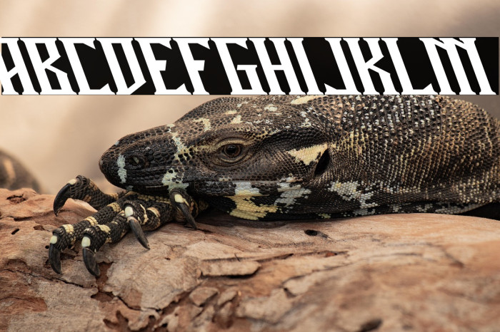 Miles Hunt Clean Oblique Example 3