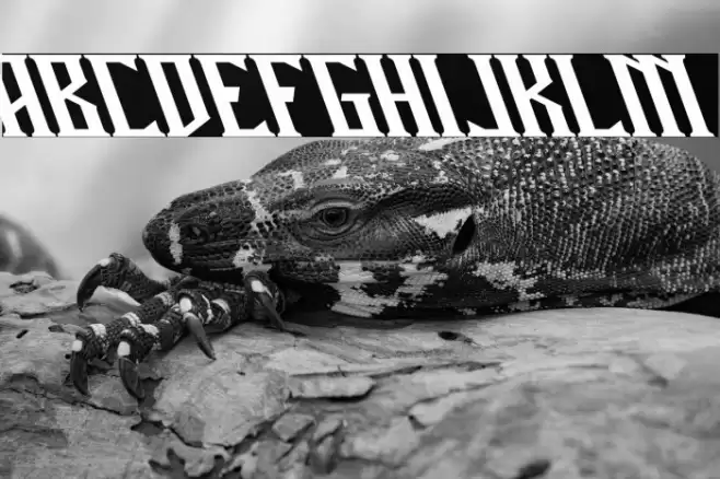 Miles Hunt Clean Oblique Font examples