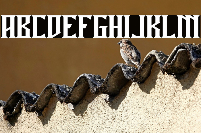 Miles Hunt Clean Example 1