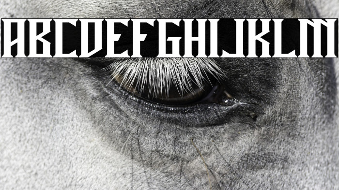 Miles Hunt Clean Example 3