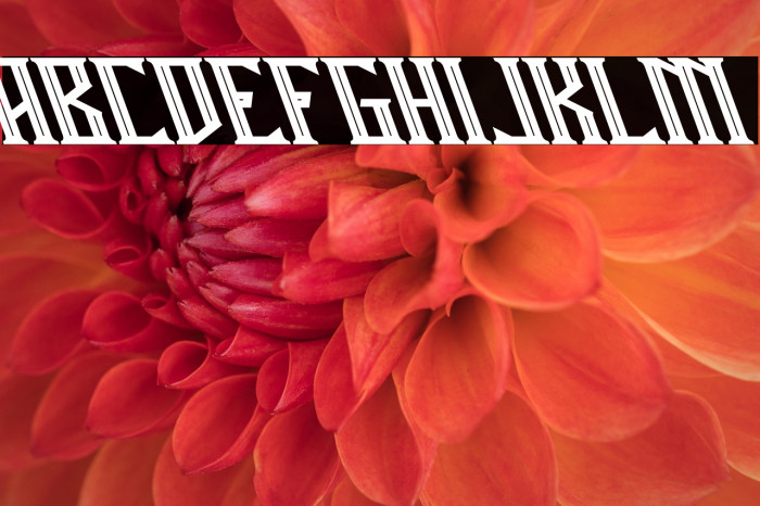 Miles Hunt Oblique Example 3