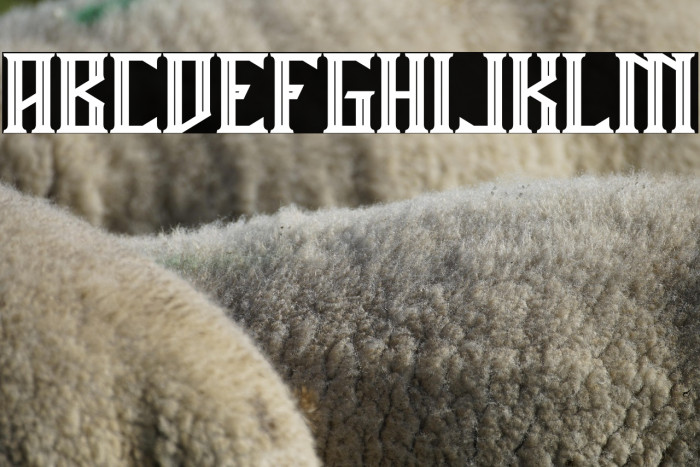 Miles Hunt Example 2