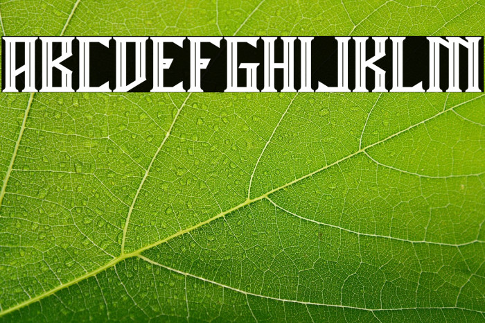 Miles Hunt Example 3