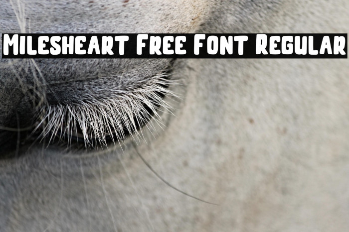 Milesheart Free Font Regular Example 1