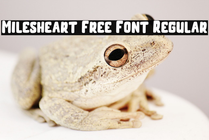 Milesheart Free Font Regular Example 3