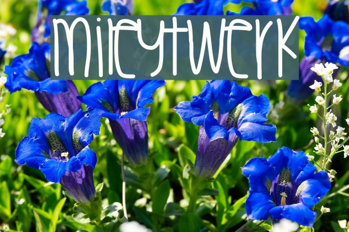 MileyTwerk Font examples