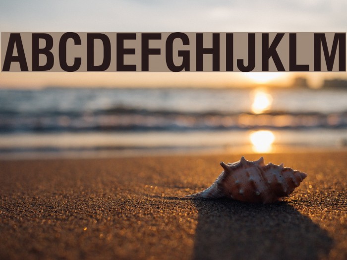 Milford Condensed Bold Font examples