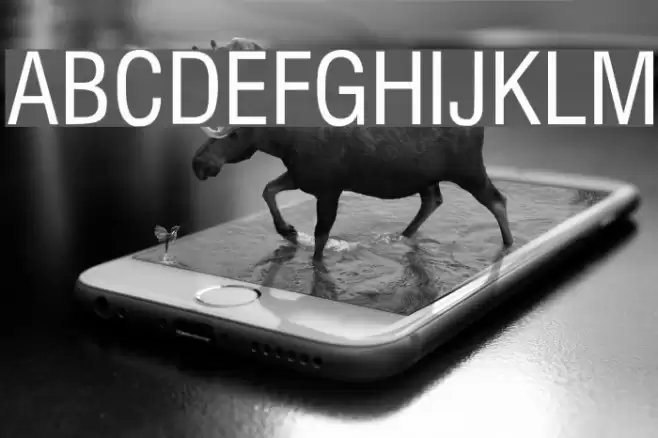 Milford Condensed Font examples