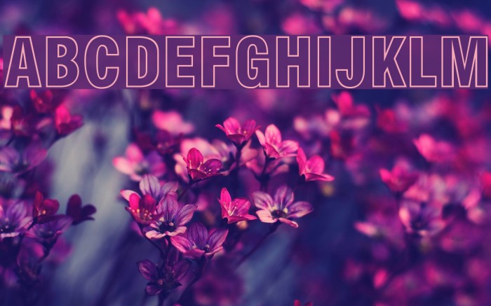 Milford Hollow Font examples