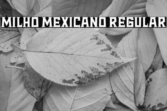 Milho Mexicano Regular Font examples