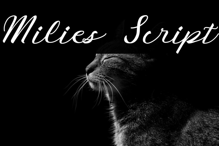 Milies Script Example 1