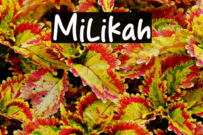 Milikah Example 2