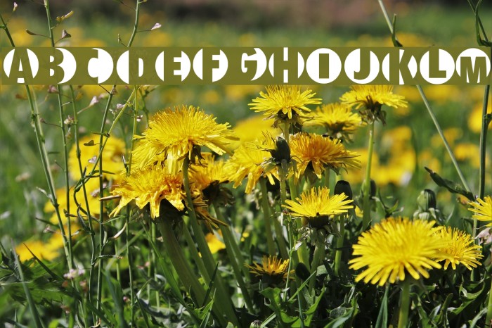 Milit Font examples