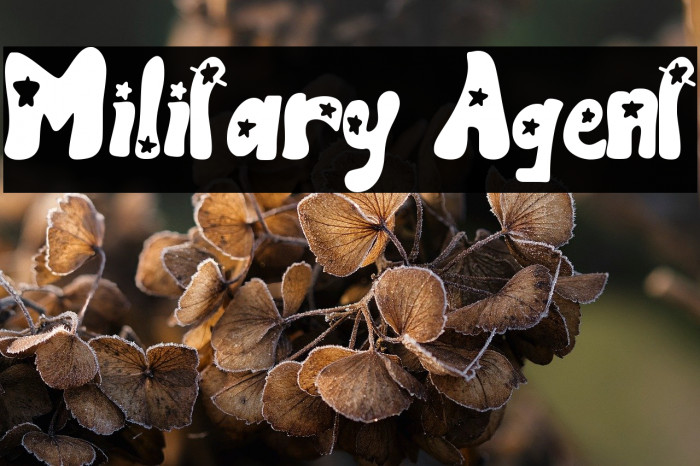 Military Agent Example 1