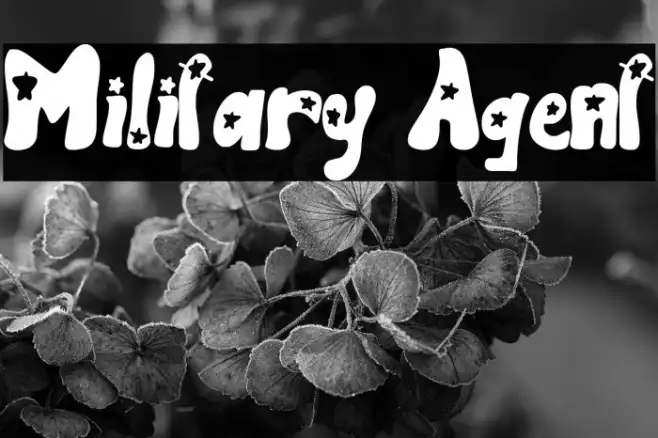 Military Agent Example 1